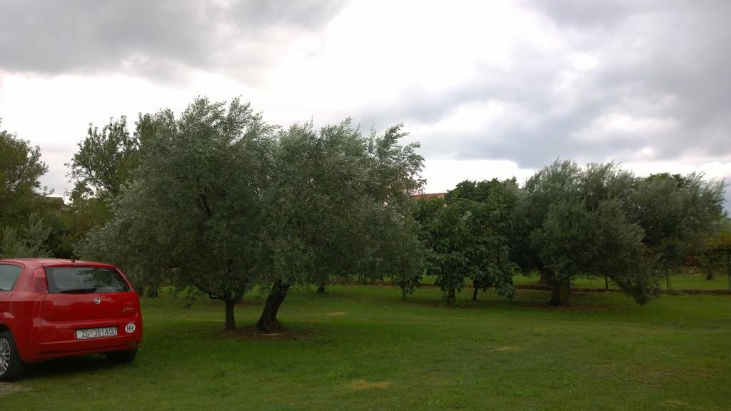Apartment Free Parking Big Garden Перой Екстериор снимка